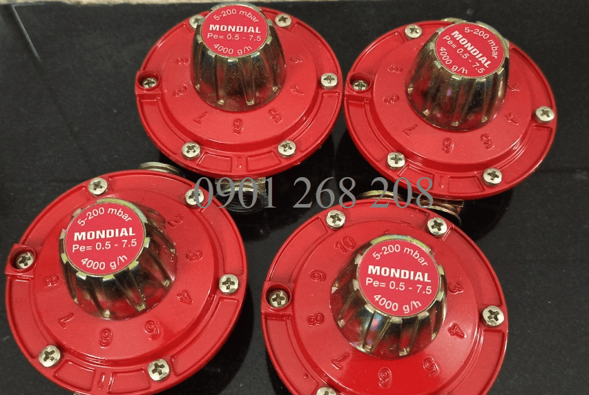 Mondial regulator 4kg/h 5-200mbar